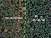 Mežs,  Tukums un raj. Cits, Foto